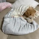 오수근 | 오수근..(오창 수지 근황)