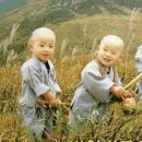 아우라(aura) 이미지