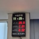 회현체육센터 | [수영 #6] 중구회현체육센터 토요일 자유수영 후기 (주차장 O, 수건제공, 해수풀, 킥판O)