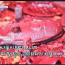 섬섬섬 이미지