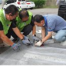 노틀담복지관 이미지