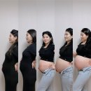 송정5일시장 (옥외6) | 29주 ~ 39주 콩딱이와 함께하는 일상기록