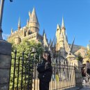 배부르댕 이미지