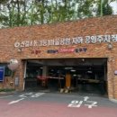 그린주의