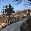 용성농협하나로마트 이미지