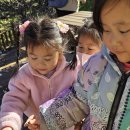 초록샘어린이집 이미지