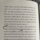 버블리 이미지