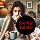 매일 내 몸 관리 늘