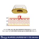 레드썬중고 - 동두천시 평화로 2528 | 레드썬중고