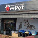 E-Pet 강아지&고양이용품할인마트 이미지