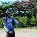 소원면사무소 이미지