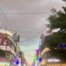 혼술집 버들골 이미지