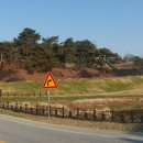 부여(사비)-24 이미지