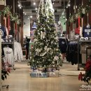 펫코랜드 이미지