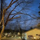 슬로우위켄드 | 장성 슬로우 위켄드 펜션 숙박 후기 (불멍 크리스마스 쿠키집 꾸미기)