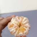 푸른푸릇 이미지