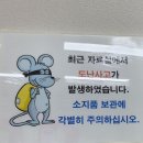 도난사고람서 왜케 귀여운 일러스트를 이미지