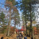 팔만상점 | 합천 해인사 단풍 여행 후기 [1탄] - 주차/교통/입장료/코스