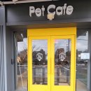 퍼독 애견호텔 이미지