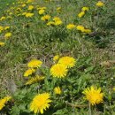 구덕초등학교 이미지