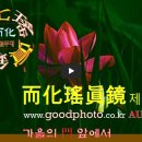 제3호 [AUG'25] 가을의 門 앞에서 이미지