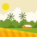 문래동 공동체텃밭 내 | 도심 옥상녹화- 도시텃밭 콜라보 성공 사례