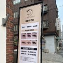 럭스래쉬 네이버블로그