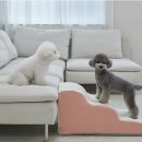 꿈이랑펫 | 슈퍼펫 강아지계단 3단 솔직후기