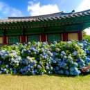 (주)제이티글로벌 | 제주 동쪽여행 숙소 휘닉스아일랜드 숙박후기 및 할인 이벤트