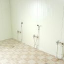 코끼리 관광농원 이미지