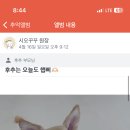 시오꾸꾸 이미지