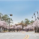 월드컵경기장 주변 뒷길 이미지