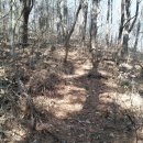 배치농장 이미지