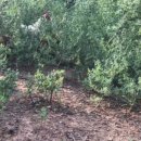 산야공인중개사사무소 이미지