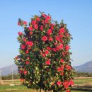 정약용의 남도 유배길(B코스) 이미지