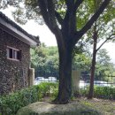 패밀리게임랜드 이미지