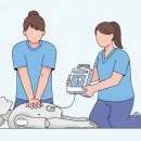심폐소생술(CPR) 방법과 자동심장충격기(AED) 사용법 이미지