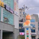 펫츠아일랜드 수월점 이미지