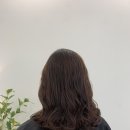 에이바헤어 지축역점