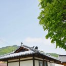 하일한드미마을 이미지