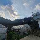 결성면 주교마을회관 이미지