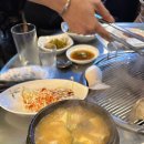 박대포 티스토리