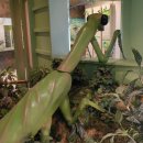 나비부화장 이미지