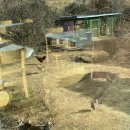 구락다복 이미지