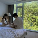 낙산비치호텔 이미지