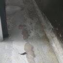 (주)푸드우리 이미지