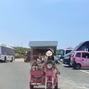 걸리버여행(주) | 우도 전기차 애견동반 가능한 걸리버여행기에서 빌린 솔직후기