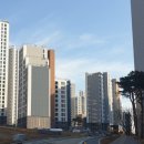 여의도씨티약국 이미지