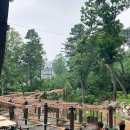 용인목재문화체험장 오감의숲 놀이터 이미지