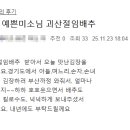 청정절임 Daum카페